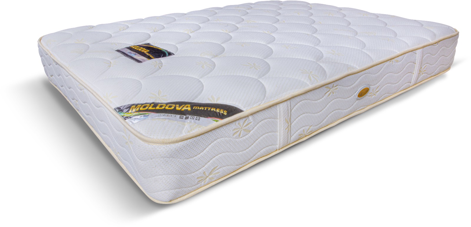 ���� ������ ���� �������� ����� 24 �"� ��� �������