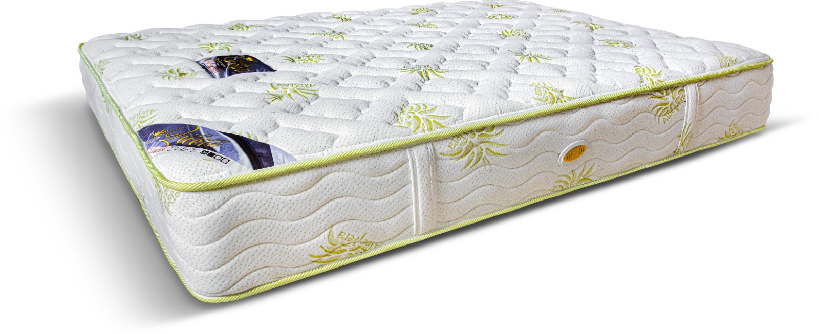 ���� ������ ���� ���� �������� ����� ����� 27 �"� ��� ���� �����