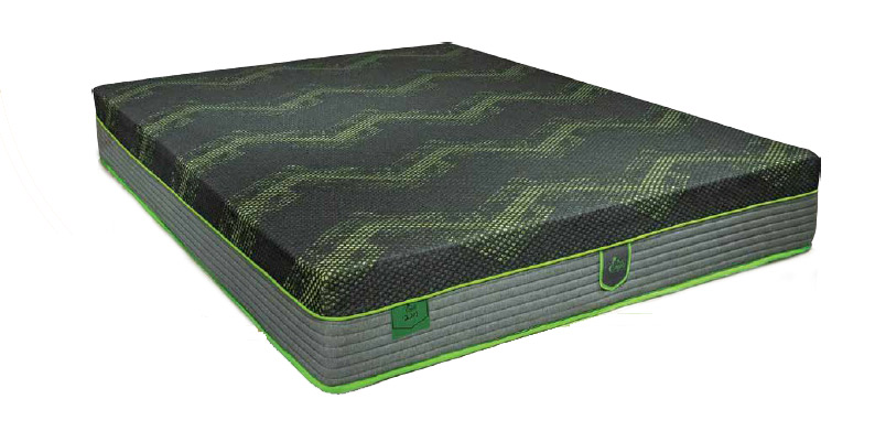 ���� ���� �������� ��� �� ������ ������� ����� ����� ������ ���� ��� ����