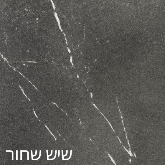 שיש שחור
