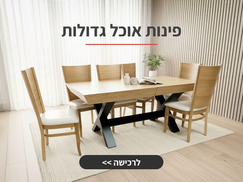 ���� ���� ����� �����